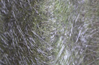 South Marston fibreglass roof work